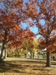 Photo by David Stauffer, 2013