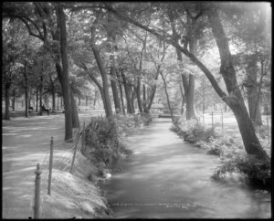 Courtesy the Denver Public Library, Western History Collection, MCC-1312