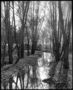 A Ditch in Autumn, Courtesy DPL, Western History Collection, MCC-870